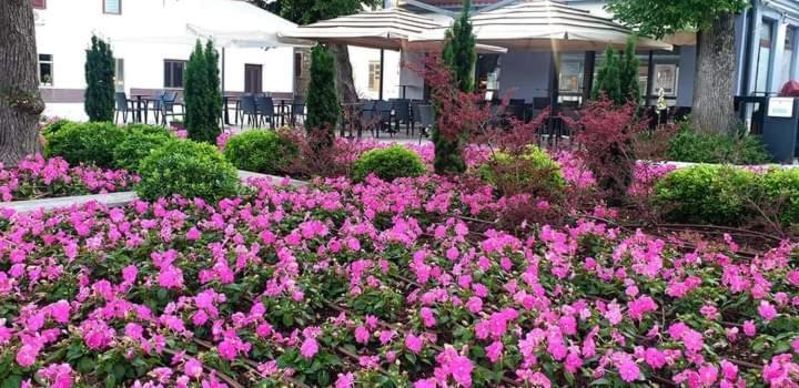 Apartmani Kramar Selce Exterior photo